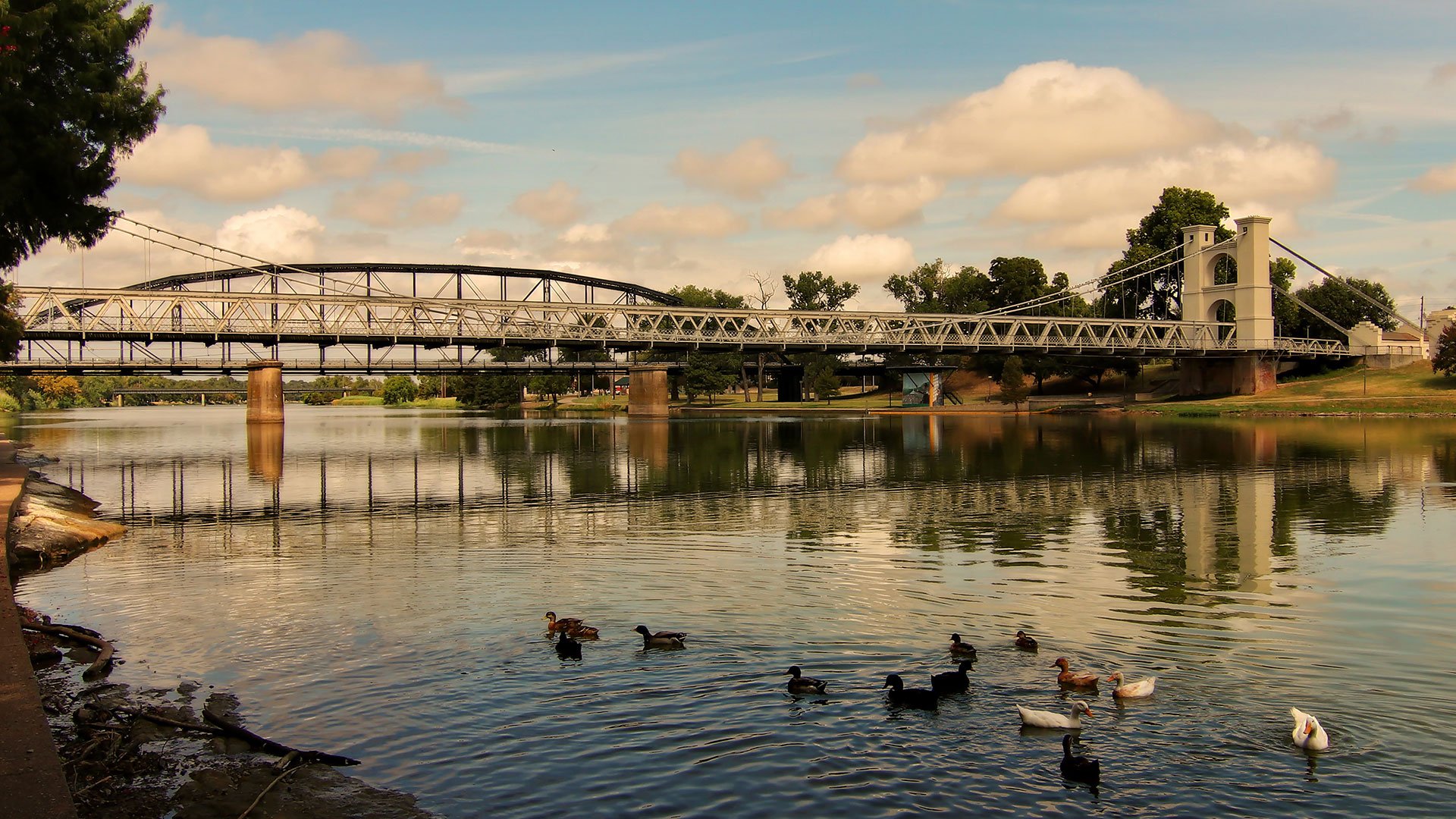 Waco, TX bridge with ducks